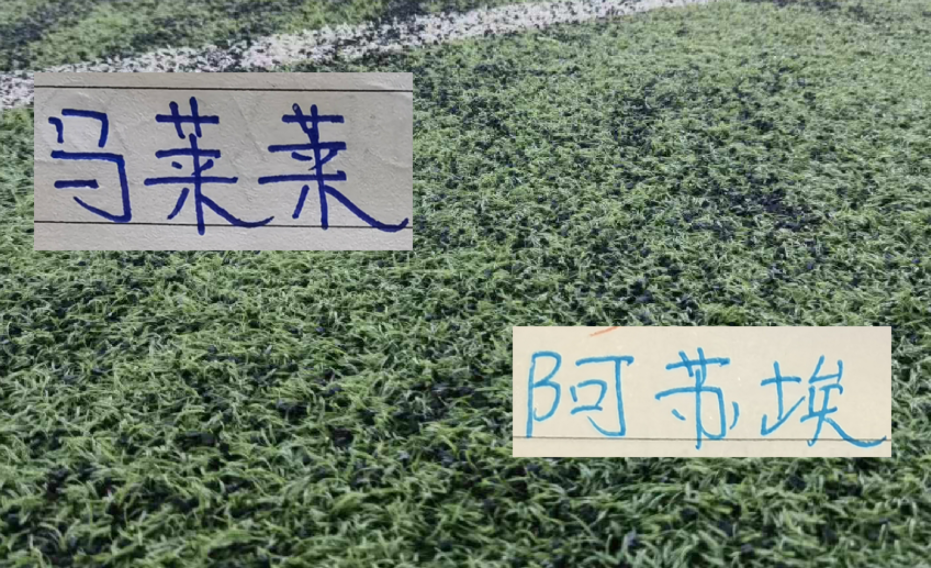 Ảnh